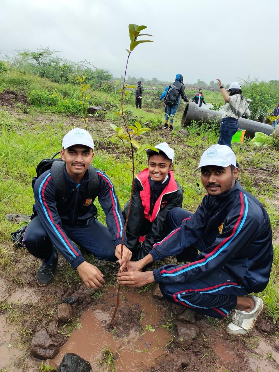Tree Plantation by NCC Cadets